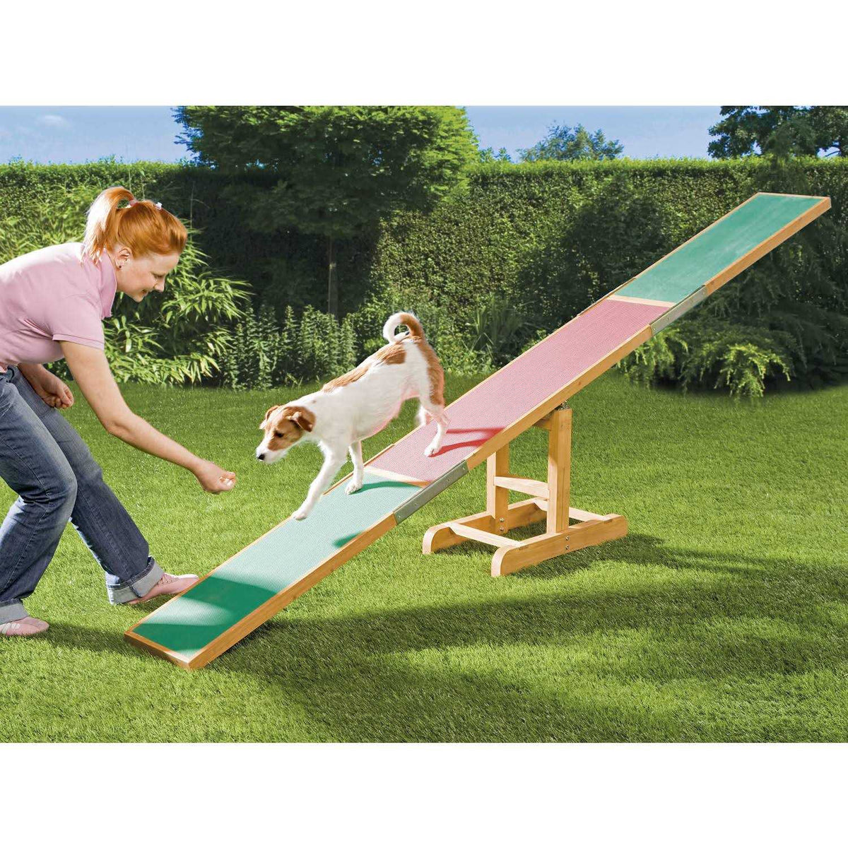 Dog Training Seesaw O58524