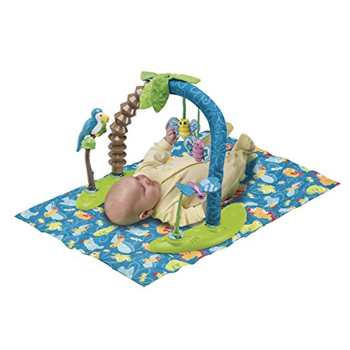 Bouncing Activity Saucer B33335