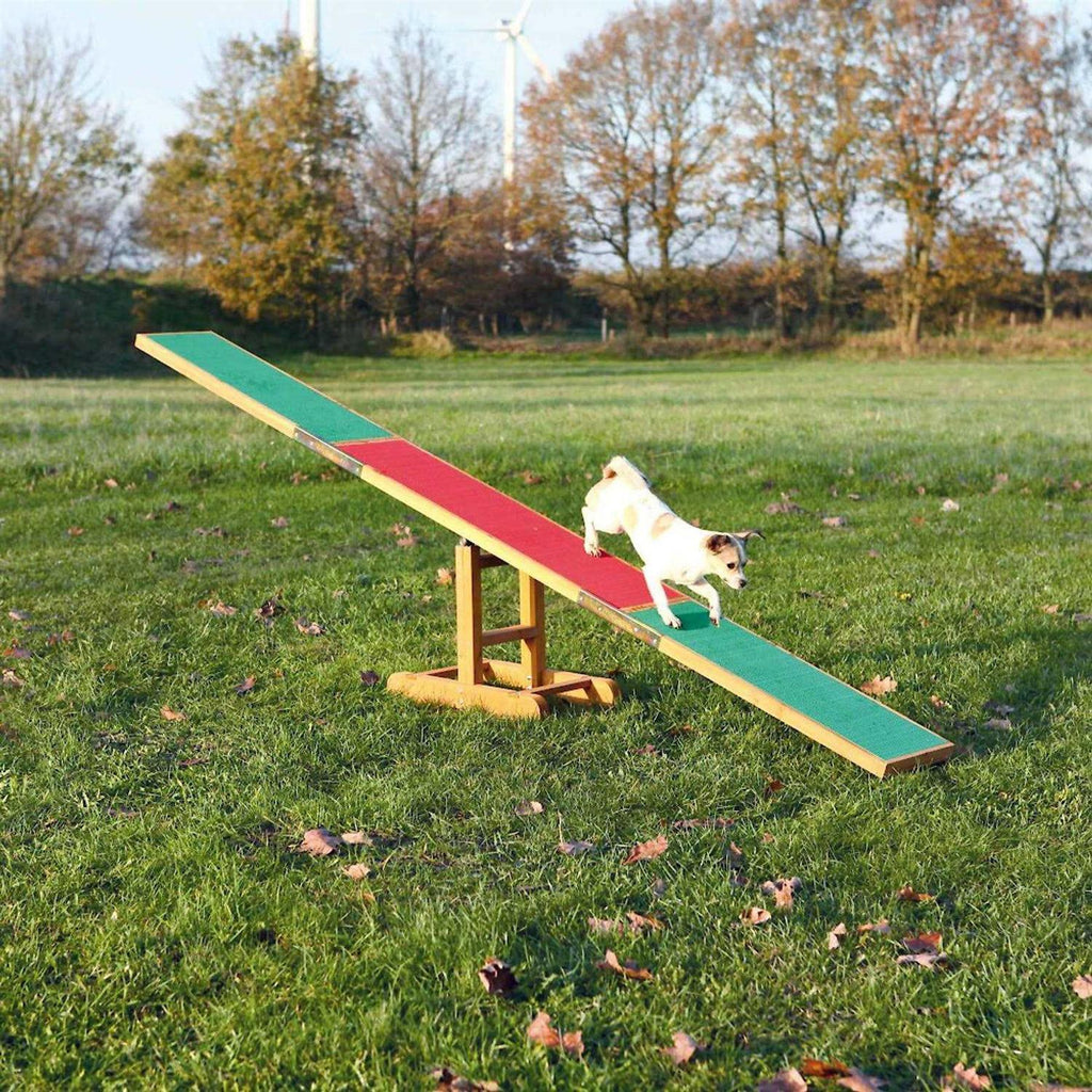 Dog Training Seesaw O58524