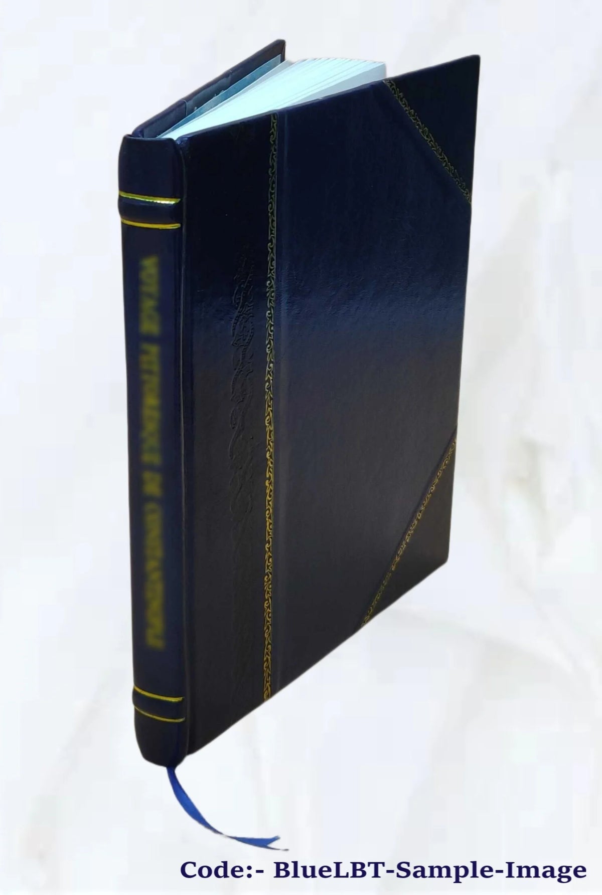 Fanny and Robbie: A Year Book for the Children of the Church 1867 P4147