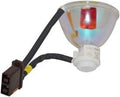 Replacement Light Bulb G620162