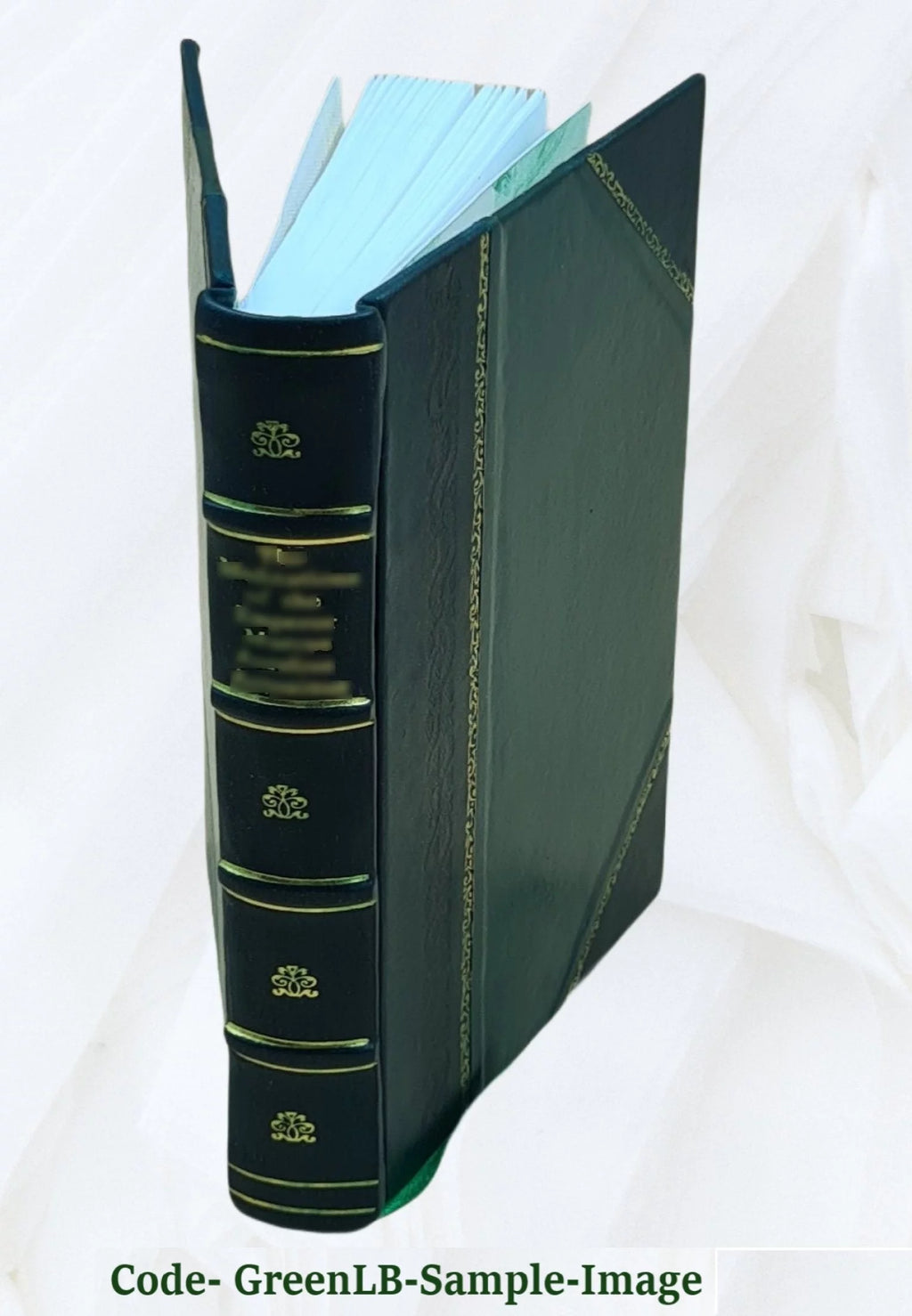 Vermont History Leather Bound R20960
