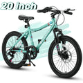 20 inch 7 Speed Kids Mountain Bike V603065