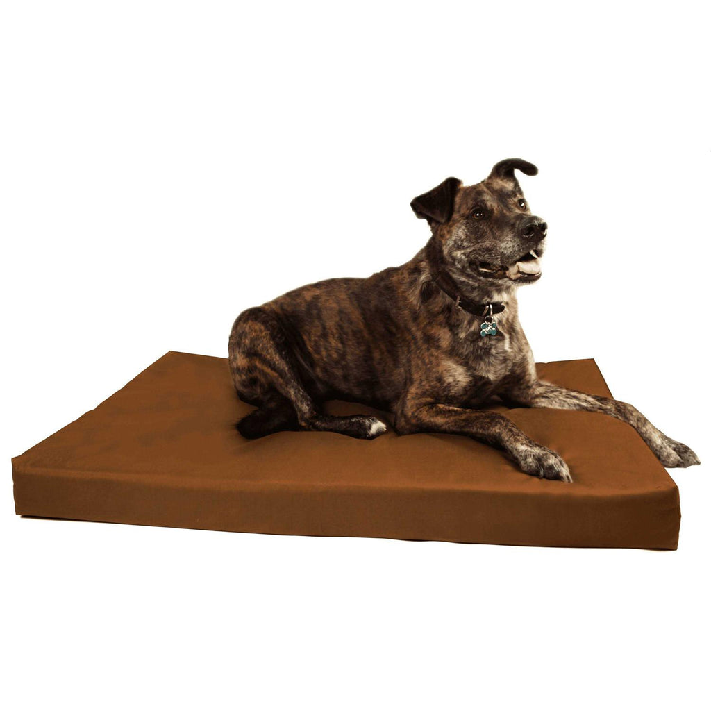 Orthopedic Crate Bed Z322324