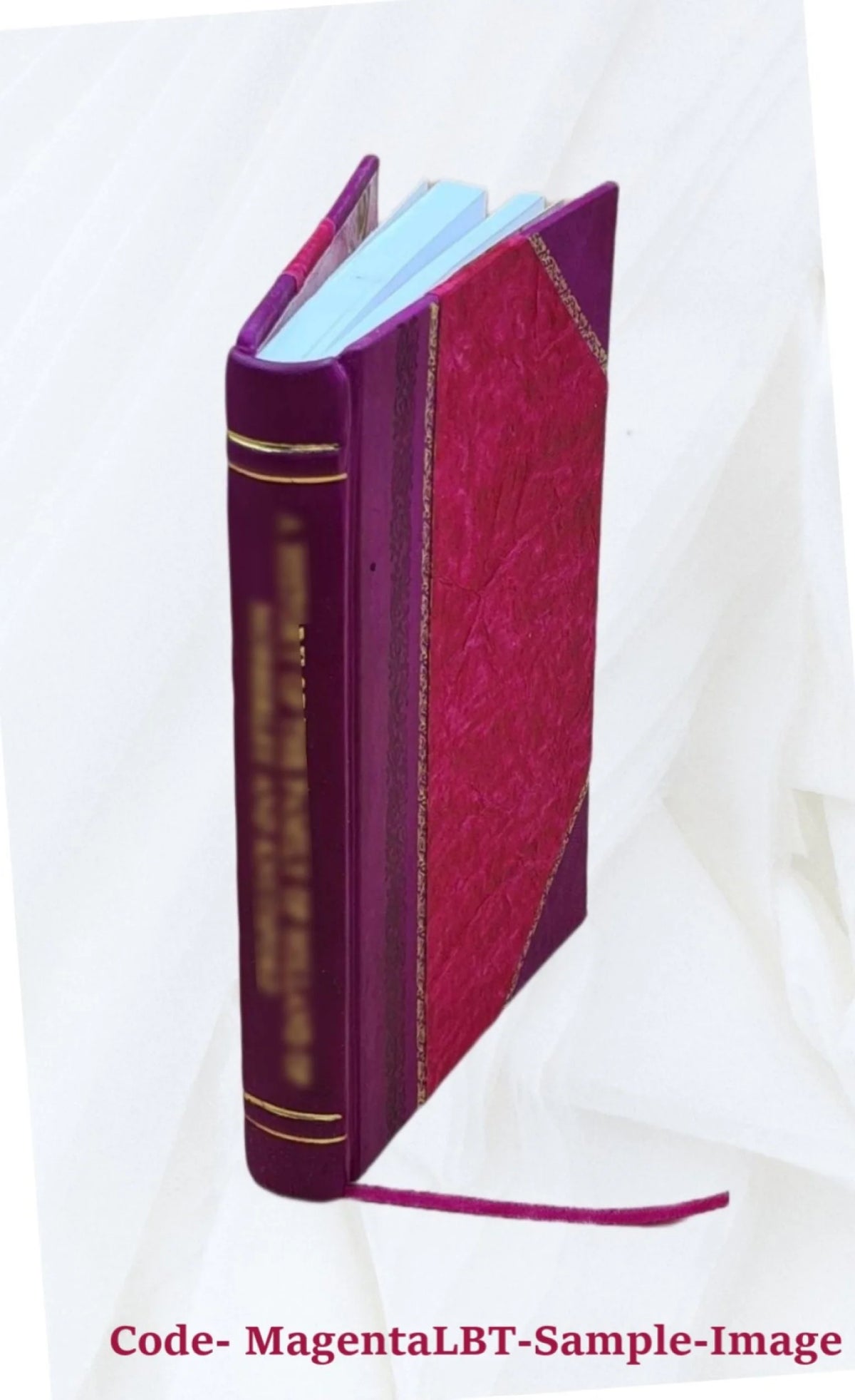 Fanny and Robbie: A Year Book for the Children of the Church 1867 P4147