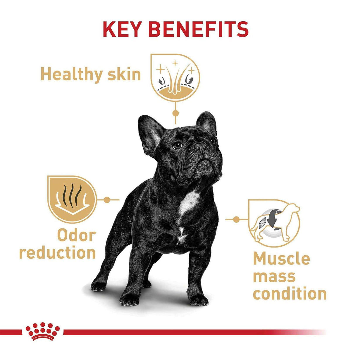 Bulldog Adult Dry Dog Food P138