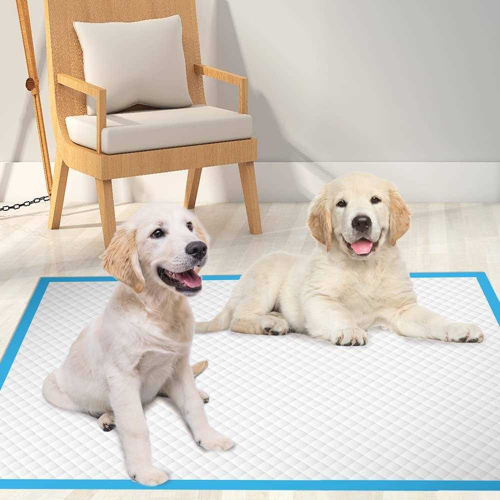 Extra Large Dog Pee Pads Super Absorbent & Leak-Proof C1477