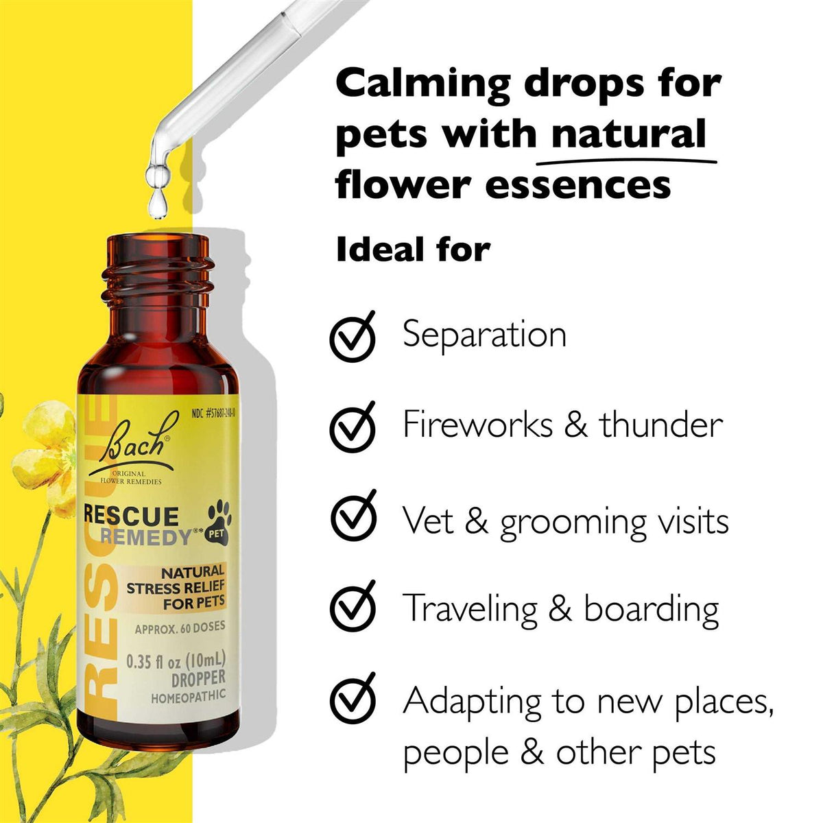 Pet Supplies Z141574
