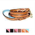 Leather Braided Dog Leash A60796