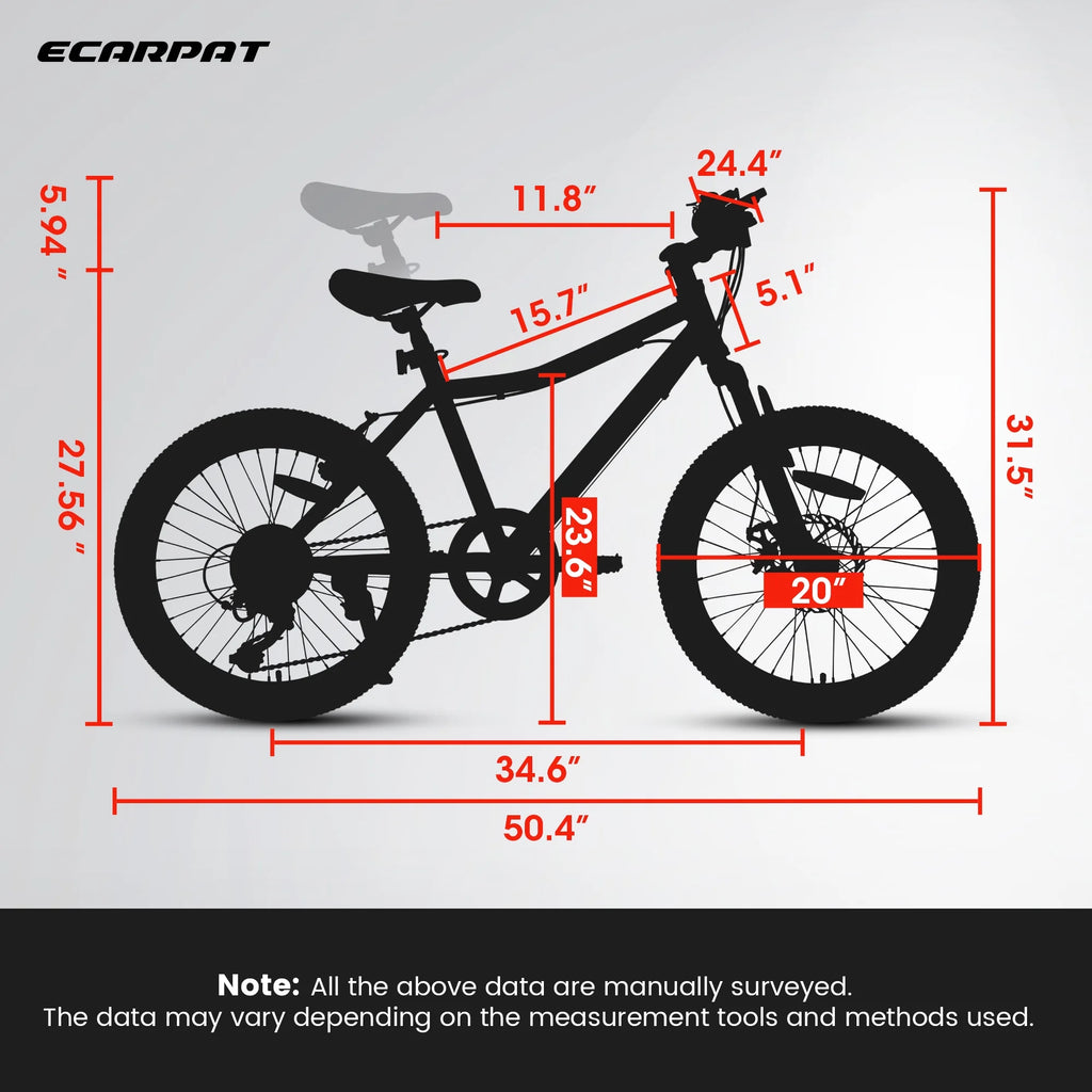 20 inch 7 Speed Kids Mountain Bike V603065