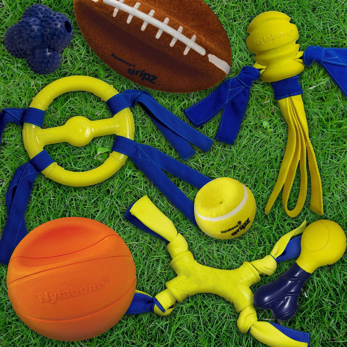 Dog Toy F1466