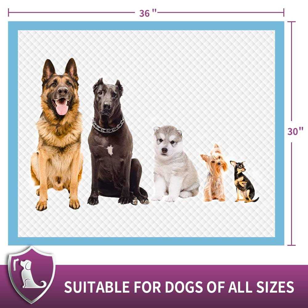 Extra Large Dog Pee Pads Super Absorbent & Leak-Proof C1477