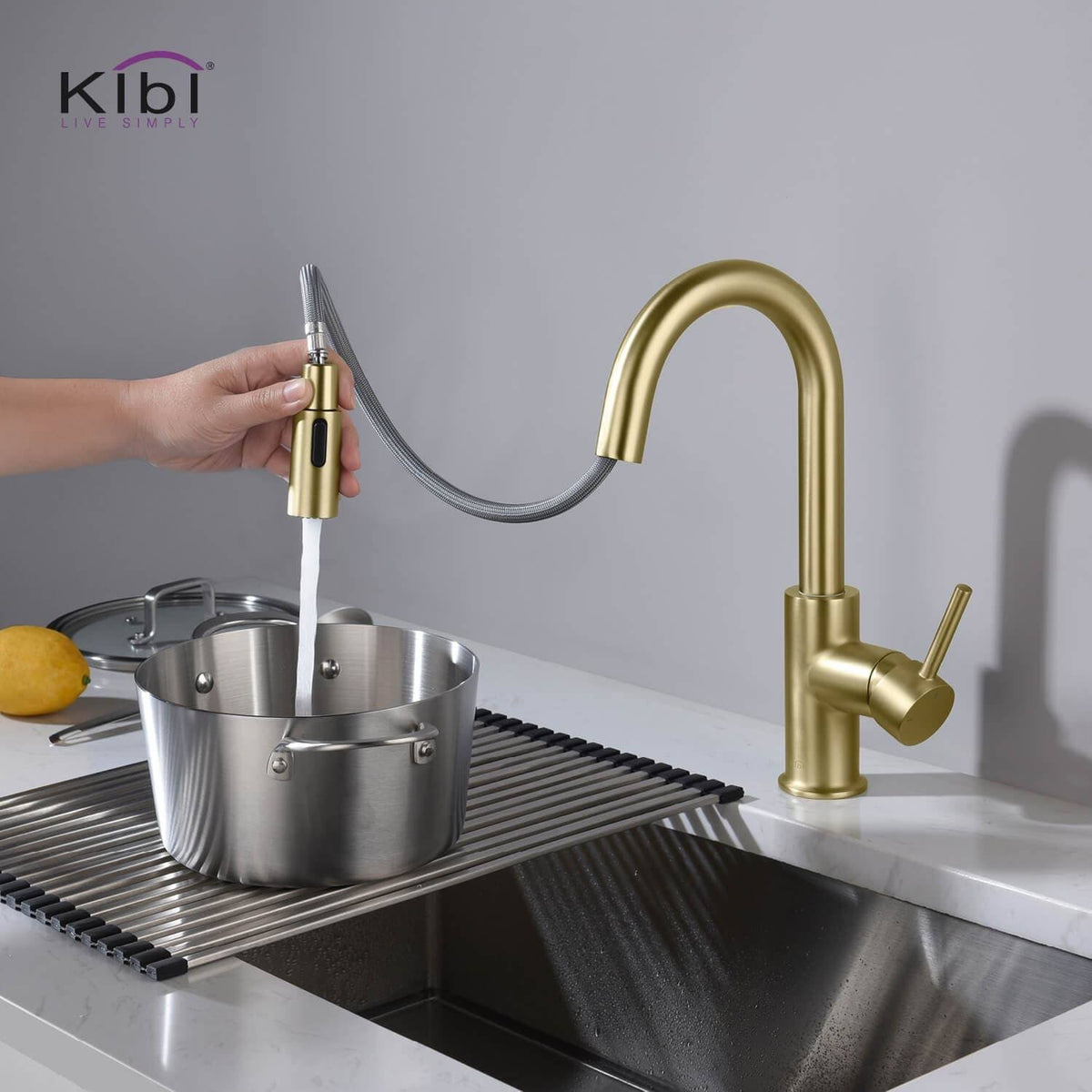 Single Hole Pull-Down Kitchen Faucet with Soap Dispenser Brushed Nickel E6575